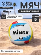 Волейбольный мяч MINSA, машинная сшивка, 18 панелей, р. 5, TPU - Фото 1