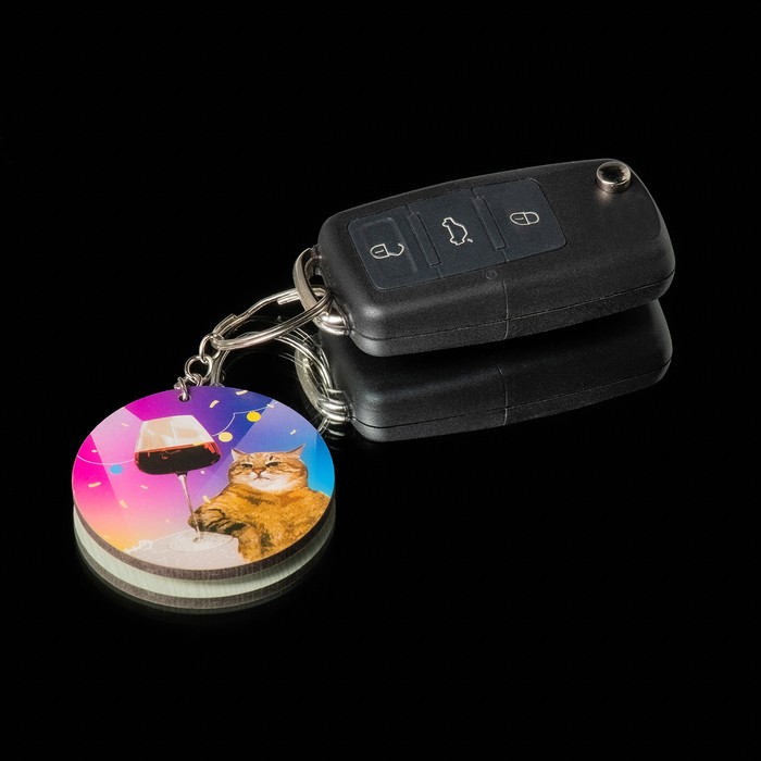 Брелок для автомобильного ключа, Кот - Фото 1