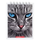 Блокнот А7 40 листов в клетку на гребне "Кошки", обложка картон, ВД-лак, МИКС - фото 24544413