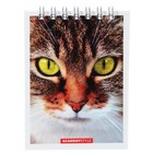 Блокнот А7 40 листов в клетку на гребне "Кошки", обложка картон, ВД-лак, МИКС - фото 24544414