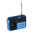 Радиоприёмник "Сигнал РП-224", УКВ 64-108 МГц, 400 мАч, USB, SD, AUX, синий - фото 7302790