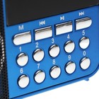 Радиоприёмник "Сигнал РП-224", УКВ 64-108 МГц, 400 мАч, USB, SD, AUX, синий - Фото 5