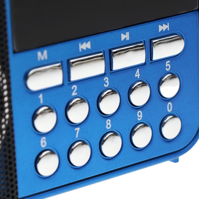 Радиоприёмник "Сигнал РП-224", УКВ 64-108 МГц, 400 мАч, USB, SD, AUX, синий