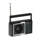 Радиоприёмник "Эфир 16", УКВ 88-108 МГц, 500 мАч, чёрный - фото 9071575