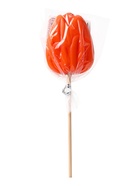 Карамель леденцовая "Цветы Botanical" на палочке, 30 г  (артикул 10009261)  большой выбор товаров оптом и в розницу по низким ценам с доставкой