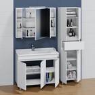 Тумба напольная «СаНта. Марс 100», с раковиной «Сириус 100», 3 дверки, цвет белый  (артикул 10014175)  большой выбор товаров оптом и в розницу по низким ценам с доставкой