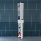 Шкаф-колонна СаНта «Стандарт 30» напольный 10014212