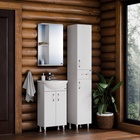 Шкаф – колонна «Стандарт 30», напольный  (артикул 10014212)  большой выбор товаров оптом и в розницу по низким ценам с доставкой