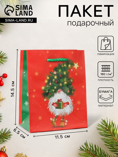 Пакет подарочный «Новогодний домовёнок», 11.5×14.5×6.5 см