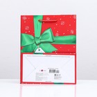 Пакет подарочный "Бант",  18 х 22,3 х 10 см (комплект 2 шт) - фото 22555162