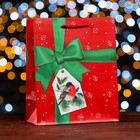 Пакет подарочный "Бант",  18 х 22,3 х 10 см (комплект 2 шт) - фото 22555163