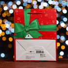 Пакет подарочный "Бант",  18 х 22,3 х 10 см (комплект 2 шт) - фото 22555164