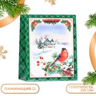 Пакет подарочный новогодний ламинированный «Снегирь на ветке », 18×22.3×10 см - Фото 1