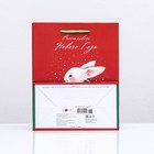 Пакет подарочный новогодний ламинированный "Счастливого Нового года.Зайка", 18×22.3×10 см - Фото 2