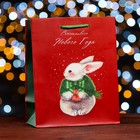 Пакет подарочный новогодний ламинированный "Счастливого Нового года.Зайка", 18×22.3×10 см - Фото 3