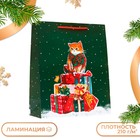 Пакет подарочный новогодний ламинированный «Салют », 26×32×12 см - Фото 1