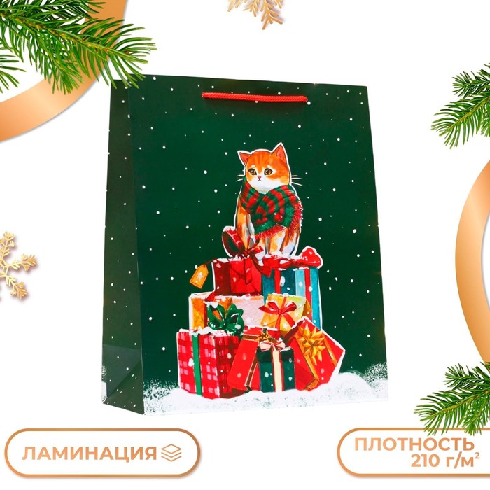 Пакет подарочный новогодний ламинированный «Салют », 26×32×12 см - Фото 1