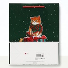 Пакет подарочный новогодний ламинированный «Салют », 26×32×12 см - Фото 4