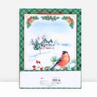 Пакет подарочный "Снегирь на ветке", 33 х 42,5 х 10 см. 9830363 - фото 15955745