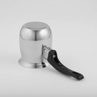 Турка Доляна «Индия», 350 мл, нержавеющая сталь - Фото 6