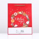 Пакет подарочный "С Новым годом",  33 х 42,5 х 10 см - фото 22555274