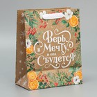 Пакет подарочный новогодний крафтовый вертикальный «Поверь в мечту», MS 18 х 23 х 10 см, Новый год (комплект 2 шт) - фото 22520635