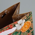 Пакет подарочный новогодний крафтовый вертикальный «Поверь в мечту», MS 18 х 23 х 10 см, Новый год (комплект 2 шт) - фото 22520639