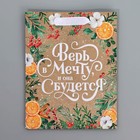 Пакет подарочный новогодний крафтовый вертикальный «Поверь в мечту», MS 18 х 23 х 10 см, Новый год (комплект 2 шт) - фото 22520640