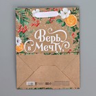 Пакет подарочный новогодний крафтовый вертикальный «Поверь в мечту», MS 18 х 23 х 10 см, Новый год (комплект 2 шт) - фото 25497049