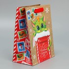 Пакет крафтовый вертикальный «Новогодняя почта», MS 18 × 23 × 10 см - фото 9606517
