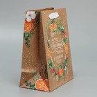 Пакет подарочный новогодний крафтовый вертикальный «Новогодний венок», MS 18 х 23 х 10 см, Новый год (комплект 2 шт) - фото 22520661