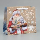 Пакет крафтовый горизонтальный «Дедушка Мороз», ML 27 × 23 × 11.5 см - Фото 3