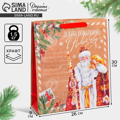 Пакет подарочный новогодний крафтовый «Почта Деда Мороза», M 26×30×9 см