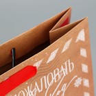 Пакет крафтовый вертикальный «Почта Деда Мороза», M 26 × 30 × 9 см - фото 9606531