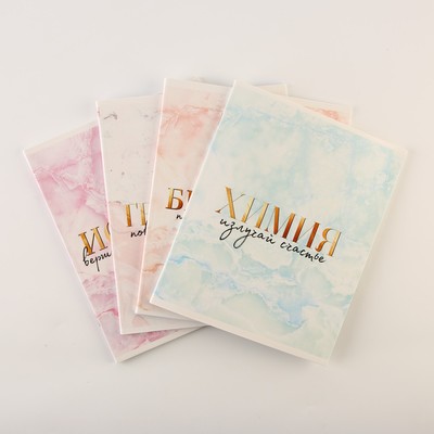 Тетради предметные, 48 л., А5, набор из 4 шт., «Мрамор»