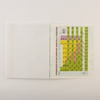 Тетради предметные, 48 л., А5, набор из 4 шт., «Мрамор» - Фото 6