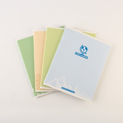 Тетради предметные, 48 л., А5, набор из 4 шт., «Минимализм»