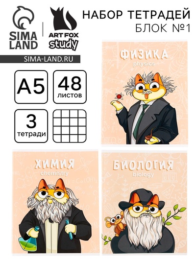 Тетради предметные, 48 л., А5, набор из 3 шт. «КОТэ»