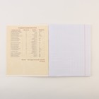 Тетради предметные, 48 л., А5, набор из 3 шт. «КОТэ» - Фото 2