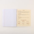 Тетради предметные, 48 л., А5, набор из 3 шт. «КОТэ» - Фото 3