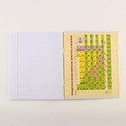 Тетради предметные, 48 л., А5, набор из 3 шт., «Шрифты» - Фото 6