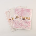 Тетради предметные, 48 л., А5, набор из 3 шт., «Мрамор» - Фото 1