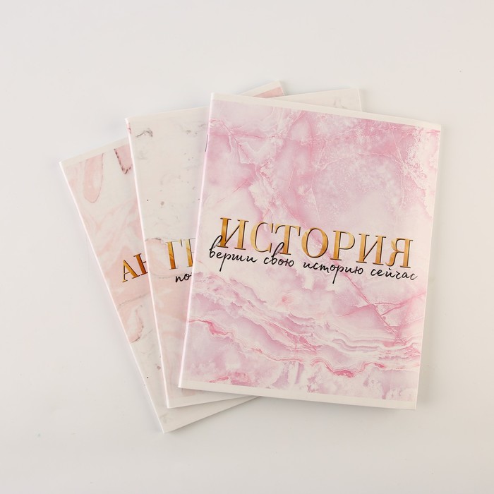 Тетради предметные, 48 л., А5, набор из 3 шт., «Мрамор» - Фото 1