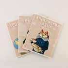 Тетради предметные, 48 л., А5, набор из 3 шт., «КОТ» - Фото 1