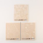 Тетради предметные, 48 л., А5, набор из 3 шт., «КОТ» - Фото 4