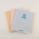 Тетради предметные, 48 л., А5, набор из 3 шт., «Минимализм» - Фото 1