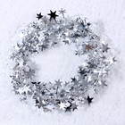 Проволока для поделок и декора «Звёздочка» длина — 5 метров, серебряная - Фото 1