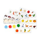 Обучающая игра «Четвёртый лишний. Мир вокруг нас» - Фото 4