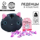 Леденцы «Кис-кис» в кошельке, со вкусом арбуза, 40 г - Фото 1