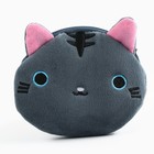 Леденцы «Кис-кис» в кошельке, со вкусом арбуза, 40 г - Фото 2